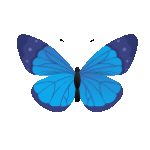 Animation - 1747522816700